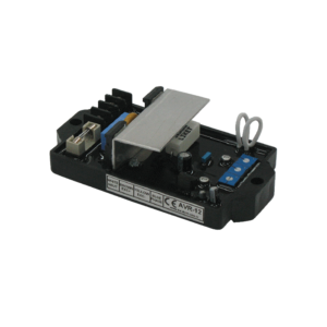 رگولاتور ولتاژ دیتاکام مدل AVR-12